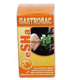 Gastrobac eSHa