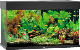 Juwel Aquarium RIO 125 LED