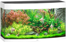 Juwel Aquarium VISION 260 LED