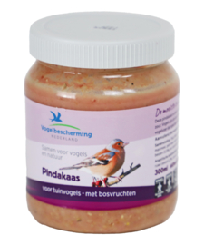 Pindakaas Vogelbescherming bosvruchten