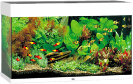 Juwel Aquarium RIO 125 LED