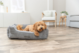 Vital Mand Lennox 100x70