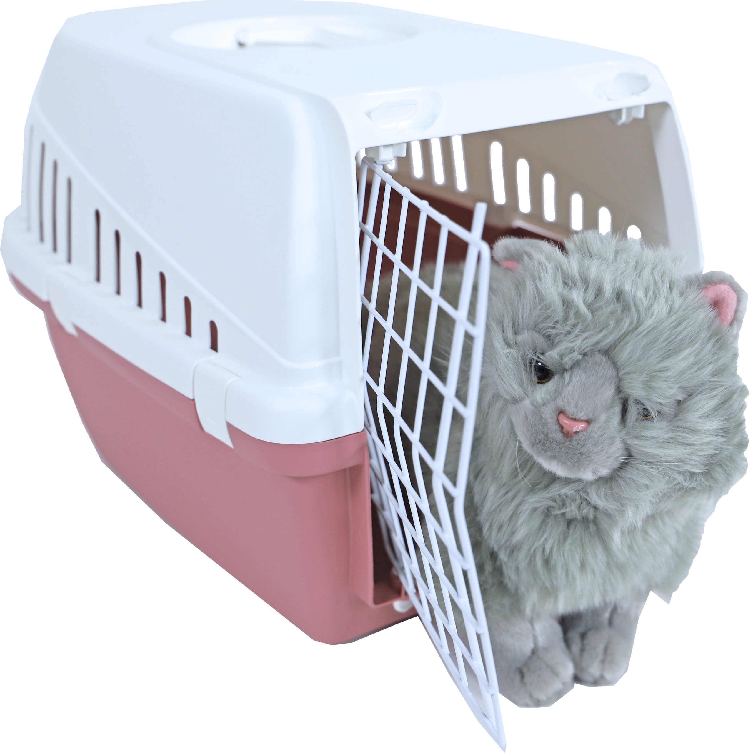 Reismand Trotter Roze