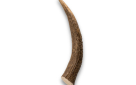 Hertengewei s (50-75g) 1st