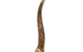 Hertengewei l (151-225g) 1st