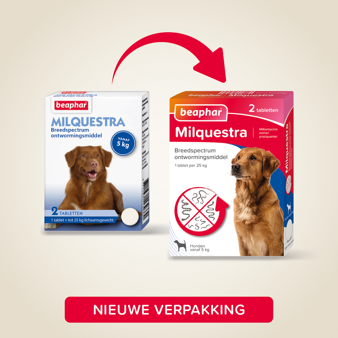 Milquestra ontworming Honden