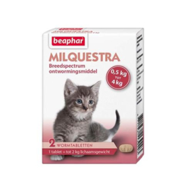 Milquestra Ontworming Kat