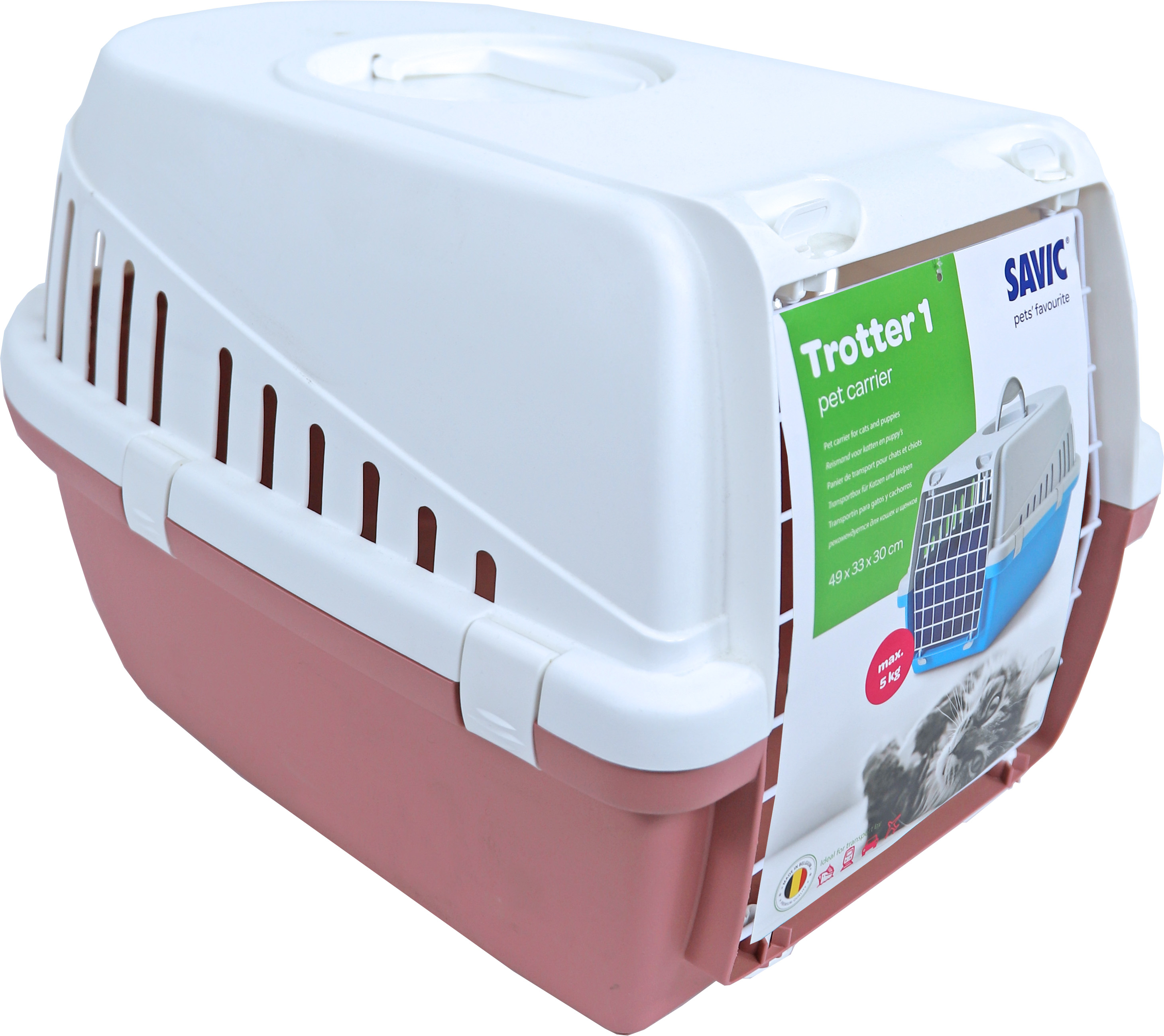 Reismand Trotter Roze