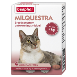 Milquestra Ontworming Kat