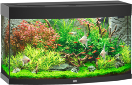 Juwel Aquarium VISION 180 LED