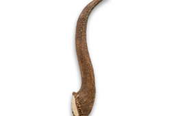 Hertengewei xl (226-270g) 1st