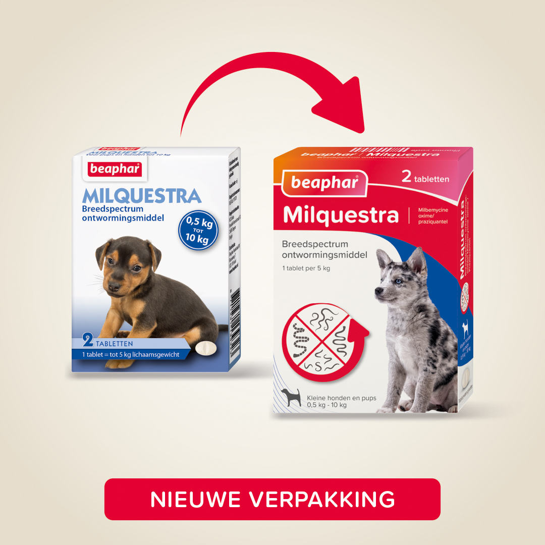 Milquestra ontworming Honden