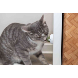 Kattenmunt-bal met houder