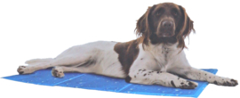 Kowloon Cool mat blauw bubble L 90×50 cm