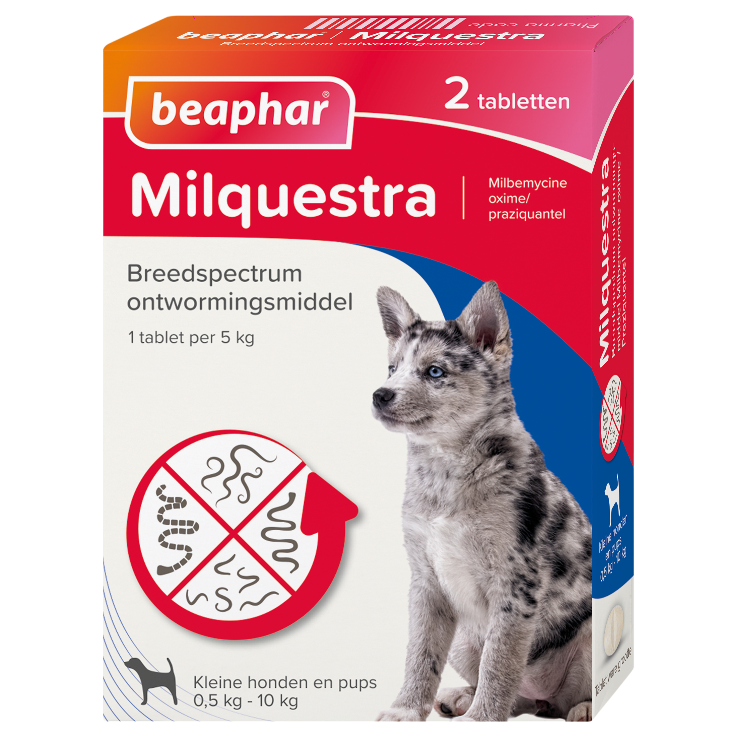 Milquestra ontworming Honden