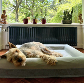 Large Buddy Bed