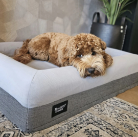 Medium Buddy Bed