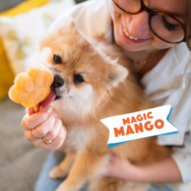 Honden-ijs navul Mango