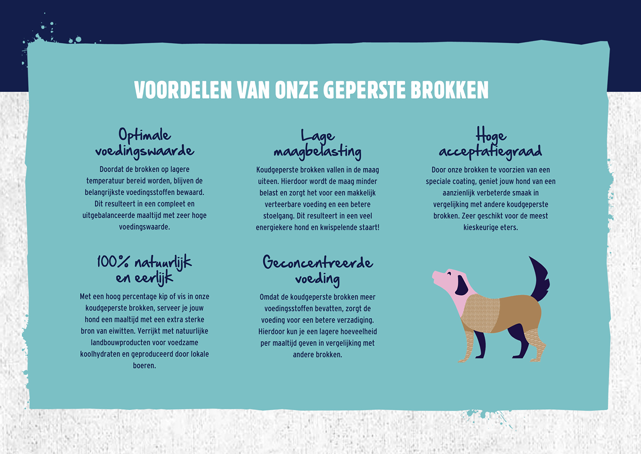 dogr2 dogr2