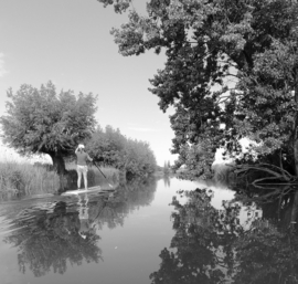 Sup tour on the Creek