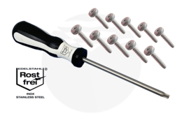 10 st Voetbandschroeven met RVS Torx schroevendraaier