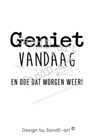 Quote geniet vandaag en doe dat morgen weer (excl. product)