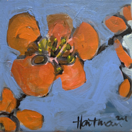 Rode bloem 22x22 cm