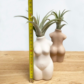 Lady body nude + airplant