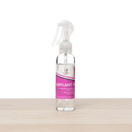 Luftpflanzenspray 120ml (voeding)