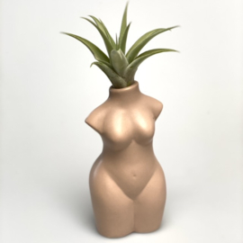 Lady body nude + airplant