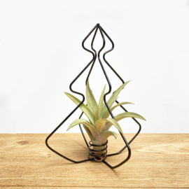 X-mas Tree black + airplant