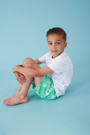 Sturdy Zwemshort AOP Licht Groen - Explore More