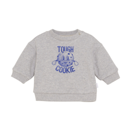 Noppies Sweater Sardesi - Grey Melange