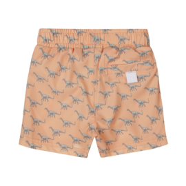 Dirkje Swimshorts - Bright Orange