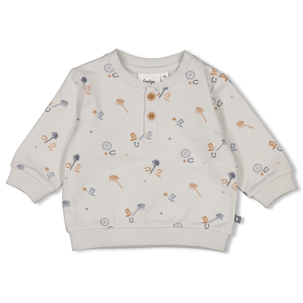 Feetje Sweater AOP Lichtblauw - Howdy