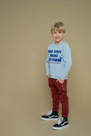 Sturdy Sweater Blauw - Waves and Whales