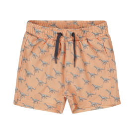 Dirkje Swimshorts - Bright Orange