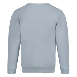 Sturdy Sweater Blauw - Waves and Whales