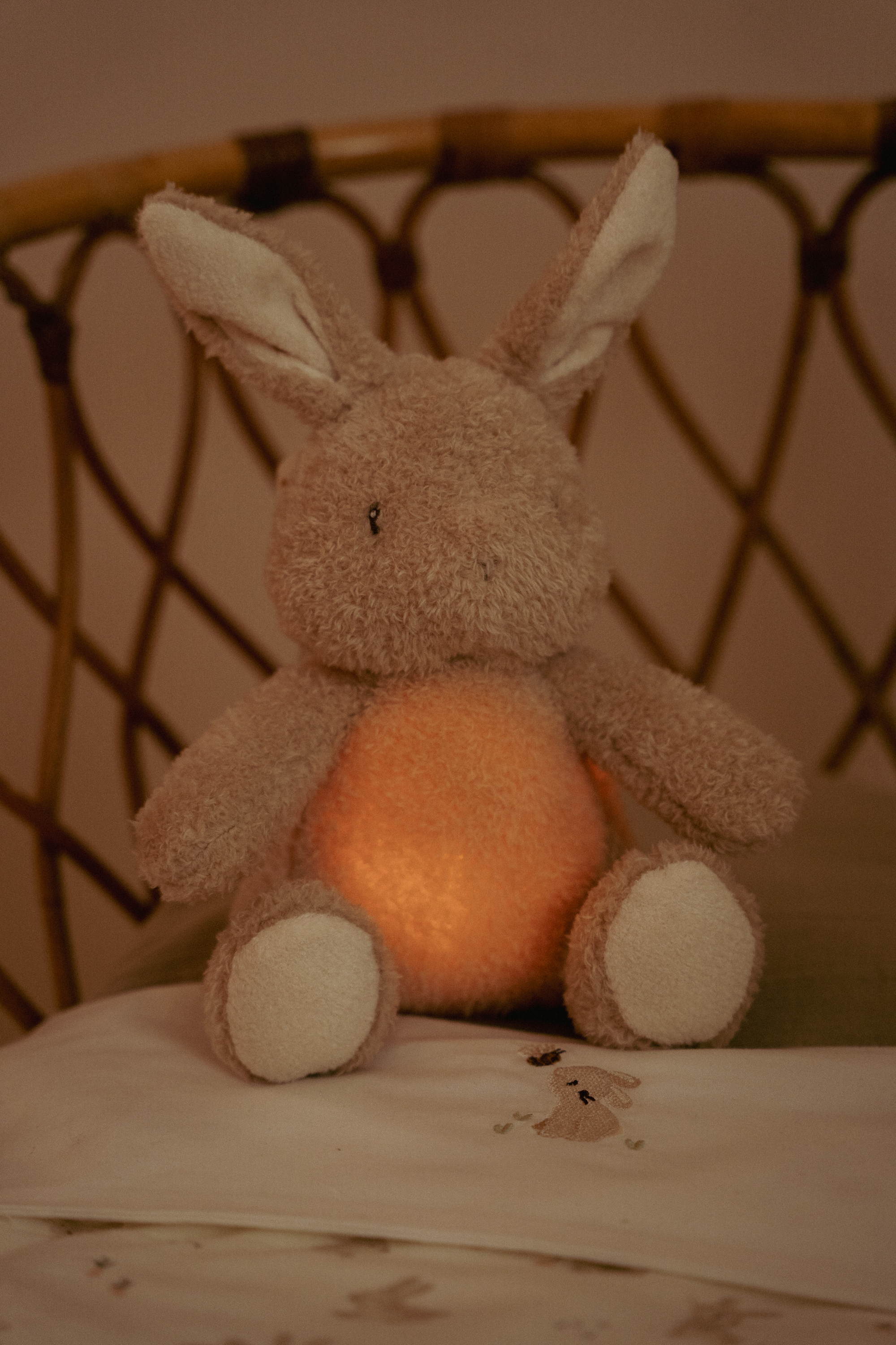 Little Dutch Knuffelkonijn Licht & Geluid
