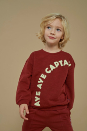 Sturdy Sweater Bordeaux - Waves and Whales