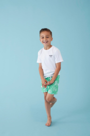 Sturdy Zwemshort AOP Licht Groen - Explore More