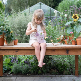 Little Dutch Emmer - Fairy Garden