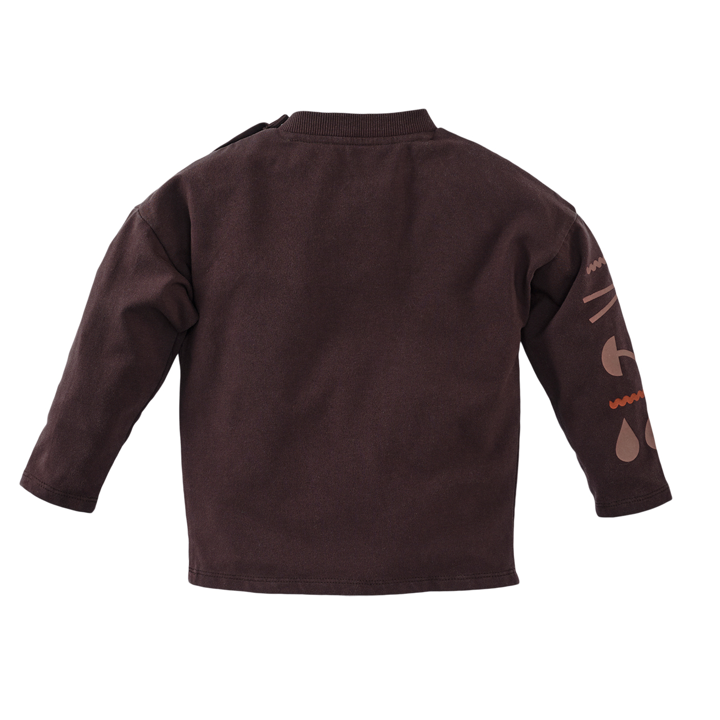 Z8 Longsleeve Raoul - Brownstone