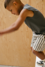 Levv Short Stijn - AOP Grey Stripe