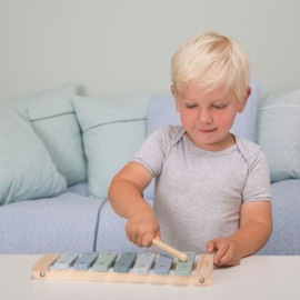 Little Dutch xylofoon blauw