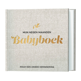 Lantaarn "Mijn Negen Maanden Babyboek"