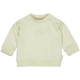 Quapi Sweater Dax - Soft Green