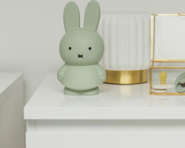 Atelier Pierre Junior Nijntje Spaarpot | Medium Eucalyptus