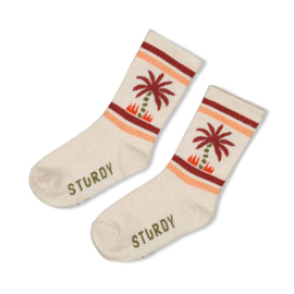 Sturdy Sokken Kit - Happy Rio