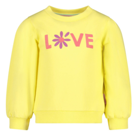Jubel Sweater Geel - Picknick Perfect